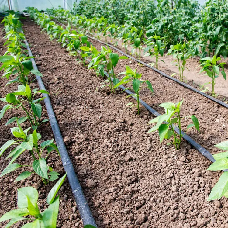 HDPE pipe for landscape garden irrigation