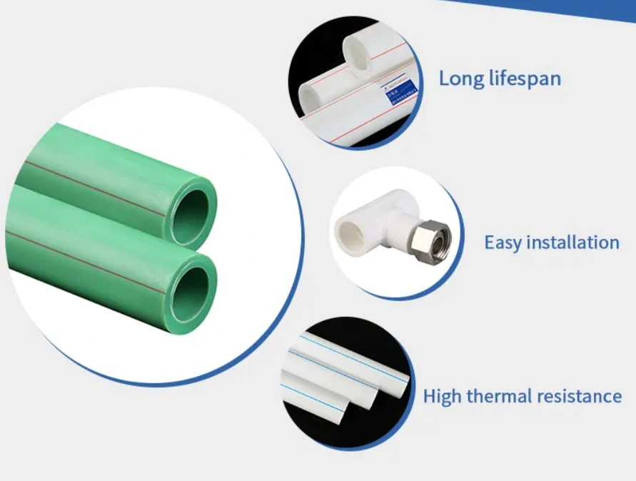 PPR-Pipe344397.webp PPR-Pipe.webp