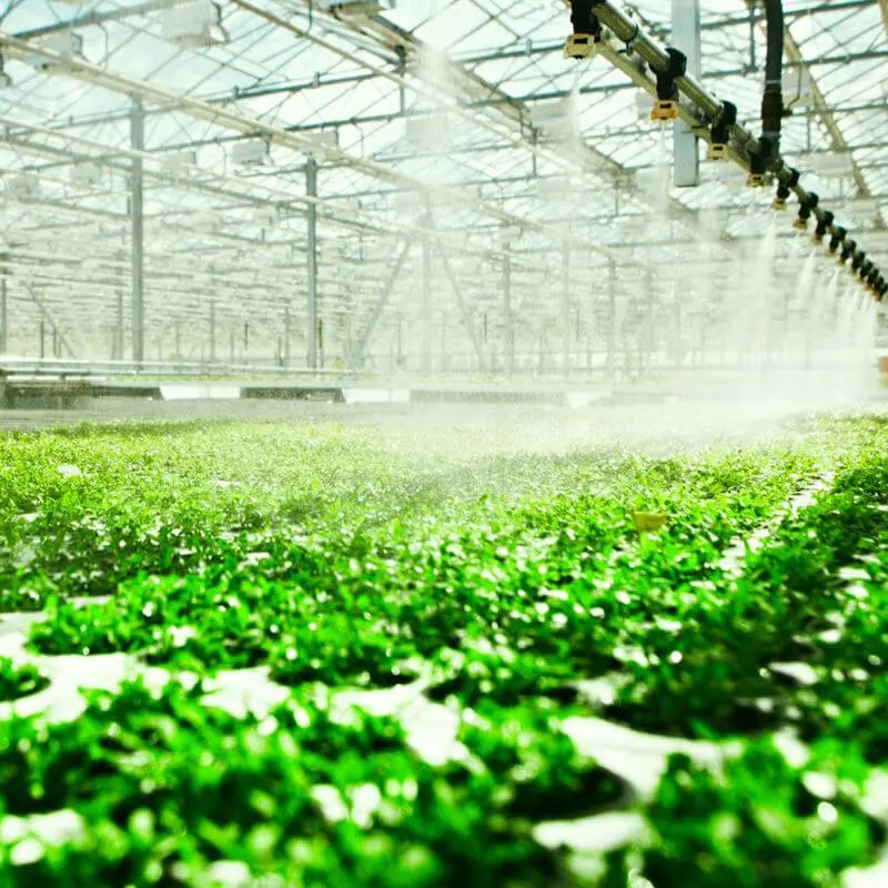 HDPE sprinkler pipe for greenhouse agricultural irrigation