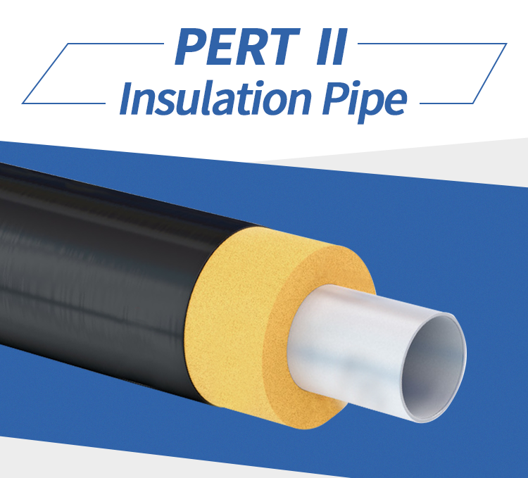 PE-RT Ⅱ best hot spring heat resident pipes good price